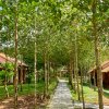 Отель The Garden House Phu Quoc Resort, фото 43