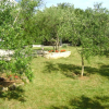 Отель Suzana - Green Oasis - A1, фото 17