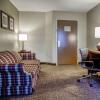 Отель Comfort Inn Bessemer Birmingham South, фото 26