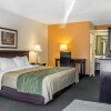 Отель Comfort Inn University, фото 6