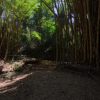 Отель Espaço Viverde Pousada e Retiros, фото 33