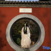 Отель Panshan Shuyuan Guesthouse, фото 3