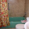 Отель Columbine Motel, фото 6