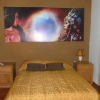 Отель Hostal Orkkowasi Casa de Montaña, фото 2