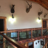Отель Cabaña Leon, фото 11