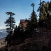 Отель Shobla Pine Royale Cottage, фото 8