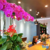 Отель Ibis Hotel (Beijing Chaoyang Joy City), фото 14