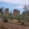 Отель Casa Bruna - Cipresseta del Chianti, фото 5