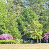 Отель Landgoed Dennenholt - 5 unique holiday homes, фото 9