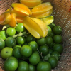 Отель Baan Loylom Farmstay, фото 7