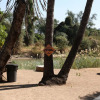 Отель Epupa Camp, фото 23