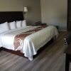 Отель Quality Inn, фото 6