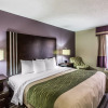 Отель Comfort Inn Paducah I-24, фото 3
