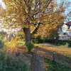 Отель Schlossgut Oberambach BioHotel und Vitalzentrum, фото 14