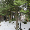 Отель The Lodge at Skeena Landing, фото 21
