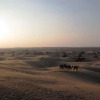 Отель Dunes Desert Safari And Camp, фото 14