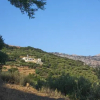 Отель Villa Dio Petres, фото 3
