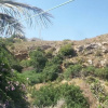 Отель Cortijo La Fuensanta, фото 21