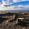 Отель Taft Beach House, фото 20