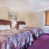 Отель Rodeway Inn & Suites New Paltz - Hudson Valley, фото 12