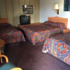 Отель Desert Skies Motel, фото 4