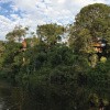 Отель Treehouse Lodge, фото 12