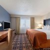 Отель Embassy Suites by Hilton Dallas DFW Airport South, фото 4