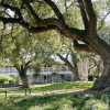 Отель Stagecoach Inn, фото 33