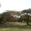 Отель Lake Natron Tented Camp, фото 3