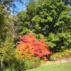 Отель Songbird Prairie Bed & Breakfast, фото 19