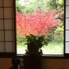 Отель Minsyuku Atsuan, фото 11
