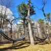 Отель The Wooden Nest by Avantstay Deck, Big Yard w/ Hammocks & Fire Pit, фото 21