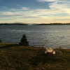Отель Oceanfront Sullivan Cottage on 6 Acres w/ Kayak!, фото 16