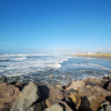 Отель Quality Inn Ocean Shores, фото 23