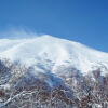 Отель Niseko Park Hotel, фото 29