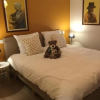 Отель vakantiehuis-oyenkerke 2, фото 5