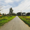 Отель Bannkrithamed Chiangmai, фото 3