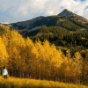 Отель Ski-in/Ski-out Condo Rentals, фото 2