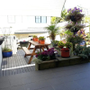 Отель Lush & Co Auckland Bed & Breakfast, фото 15