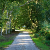 Отель Gîte des Fougères, фото 17
