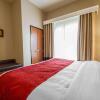 Отель Comfort Suites Redding - Shasta Lake, фото 4