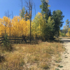 Отель Miles Behind Log Cabin by Stay Winter Park, фото 27