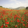 Отель Cortijo Las Piletas, фото 30