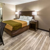 Отель Econo Lodge Inn & Suites, фото 33