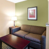 Отель Quality Suites Irving-Las Colinas, фото 3