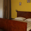 Отель Pensiunea Casa cu Flori, фото 1