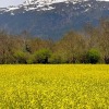 Отель Posada el Campanario, фото 28