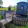 Отель Eco Accommodation Cornflower Holiday, фото 3