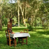 Отель Migunga Tented Camp, фото 5