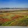 Отель Inn at Playa del Rey, фото 14